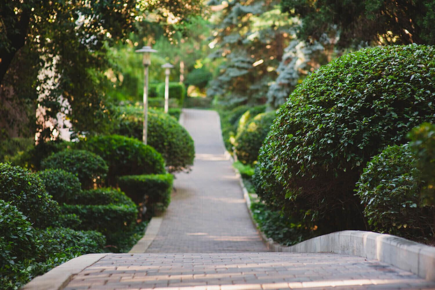 Отель МОРЕ СПА «Геолог». Республика Крым. Гурзуф.